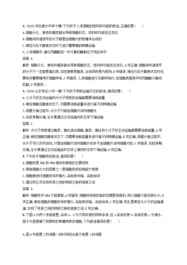 高考生物一轮复习单元质检卷2细胞的基本结构细胞的物质输入和输出 含解析 人教版第2页
