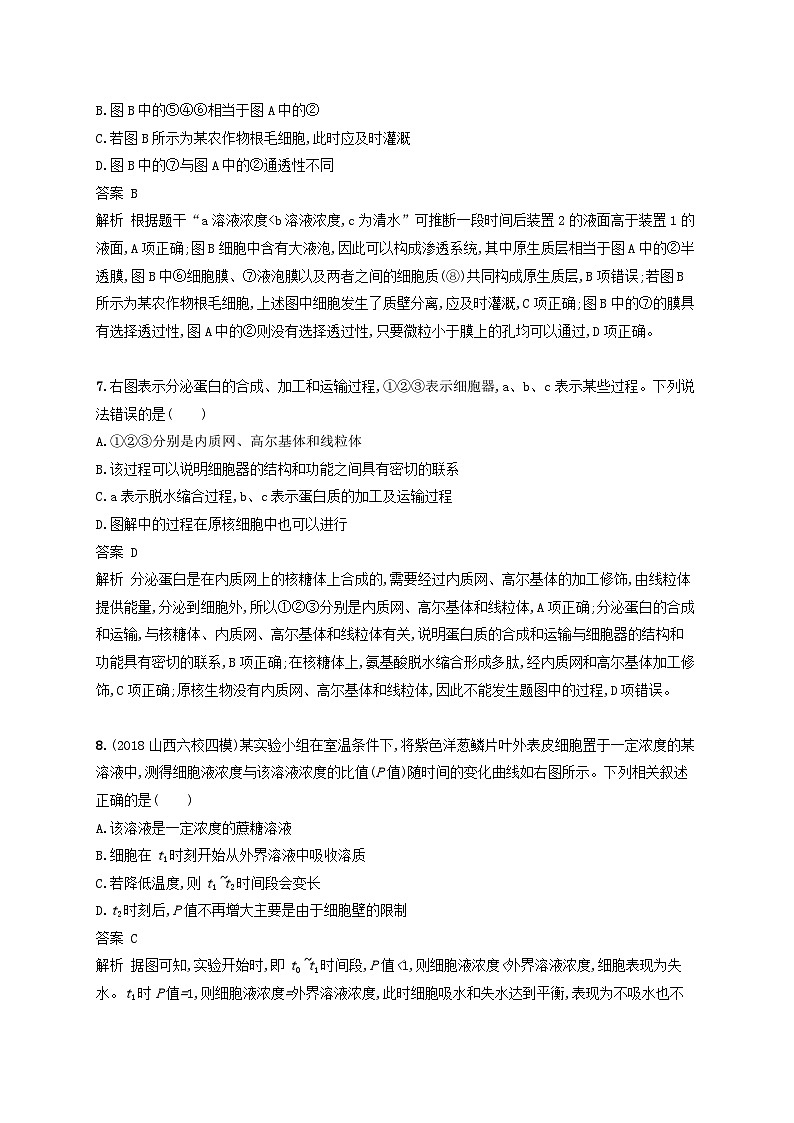 高考生物一轮复习单元质检卷2细胞的基本结构细胞的物质输入和输出 含解析 人教版第3页