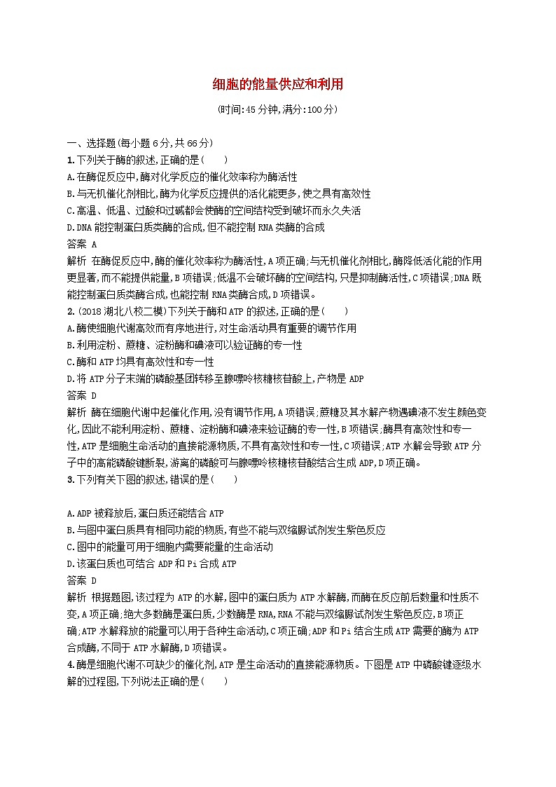 高考生物一轮复习单元质检卷3细胞的能量供应和利用 含解析 人教版01