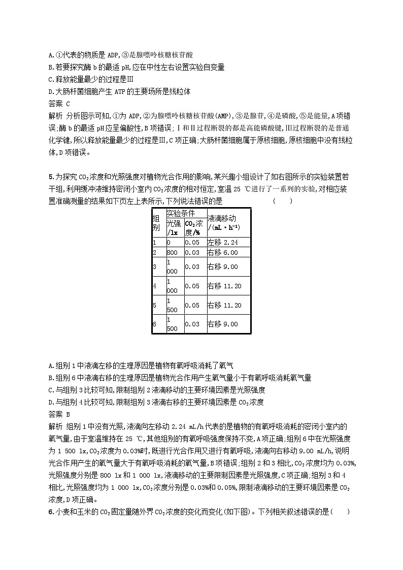 高考生物一轮复习单元质检卷3细胞的能量供应和利用 含解析 人教版02