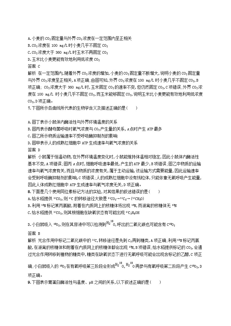 高考生物一轮复习单元质检卷3细胞的能量供应和利用 含解析 人教版03