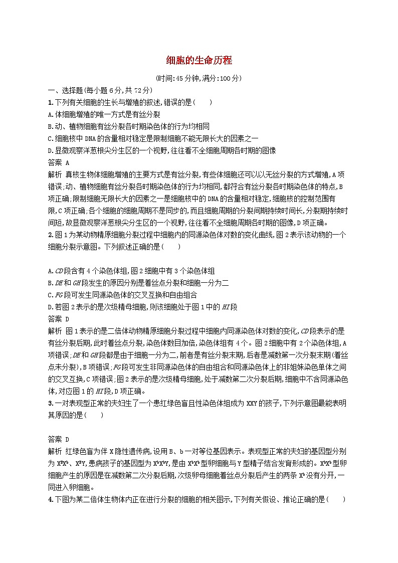高考生物一轮复习单元质检卷4细胞的生命历程 含解析 人教版01