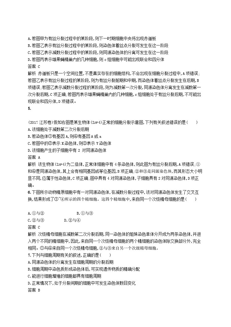 高考生物一轮复习单元质检卷4细胞的生命历程 含解析 人教版02