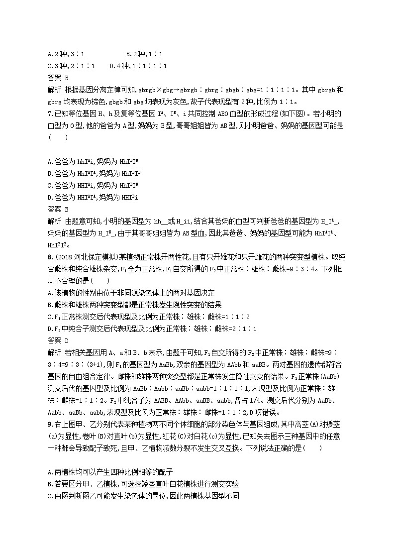 高考生物一轮复习单元质检卷5遗传因子的发现 含解析 人教版第3页