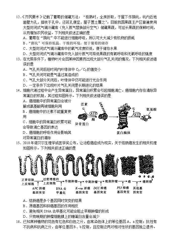 2022届河南省部分重点高中高三上学期9月调研考试生物试题（PDF版含答案）03