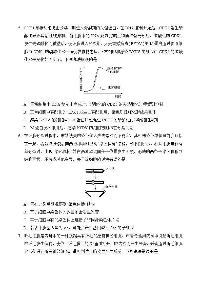 2020年山东高考生物试卷-(及答案)02