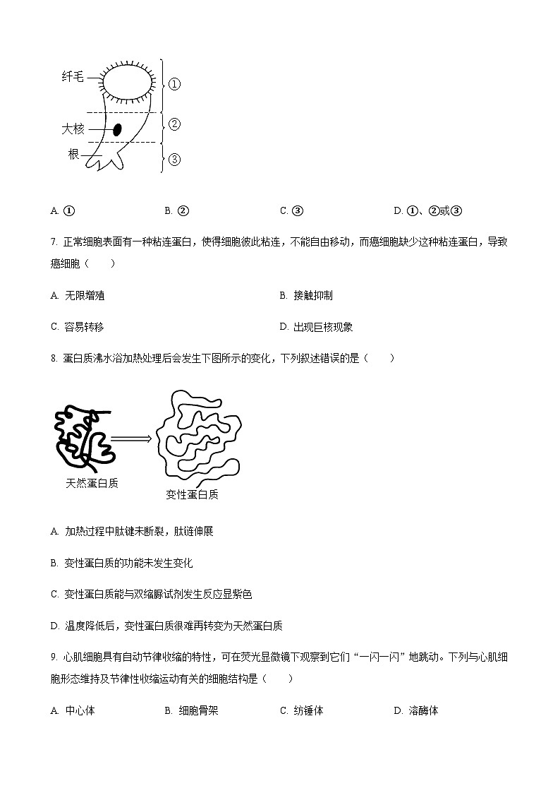 浙江省湖州市高一上学期期末调研测试生物试题（原卷版）第2页