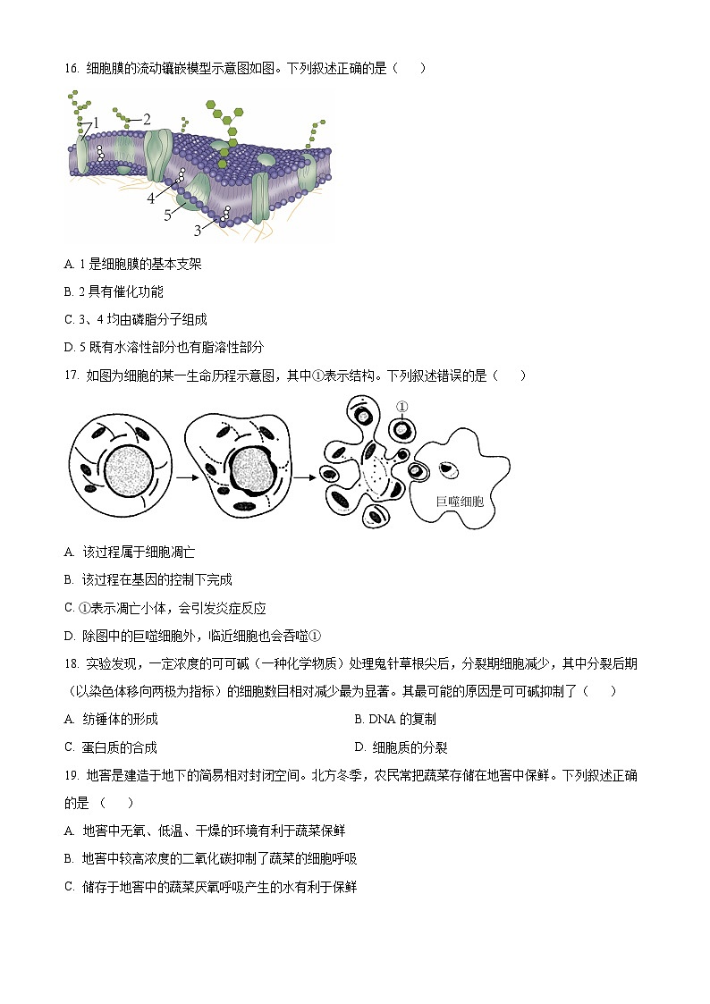 2022-2023学年度浙江省金华市高一上学期期末生物试题03