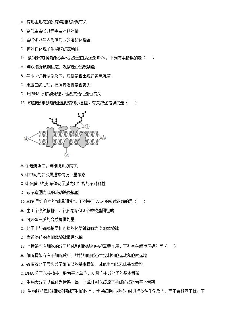 2022-2023学年度浙江省浙南名校联盟高一上学期期中生物试题03