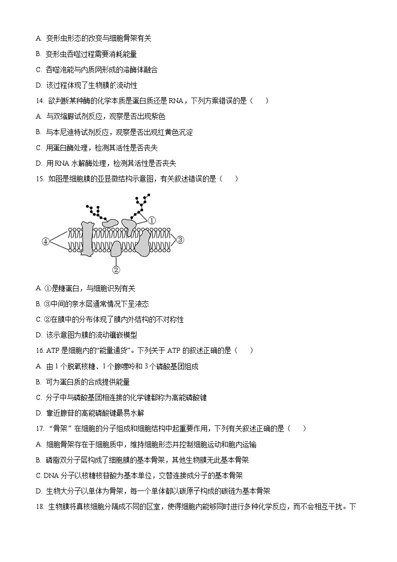 2022-2023学年度浙江省浙南名校联盟高一上学期期中生物试题03