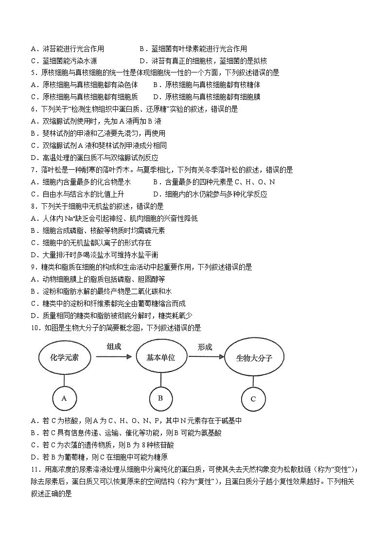 黑龙江省绥化市绥棱县一中2022-2023学年高一下学期开学考试生物试题02