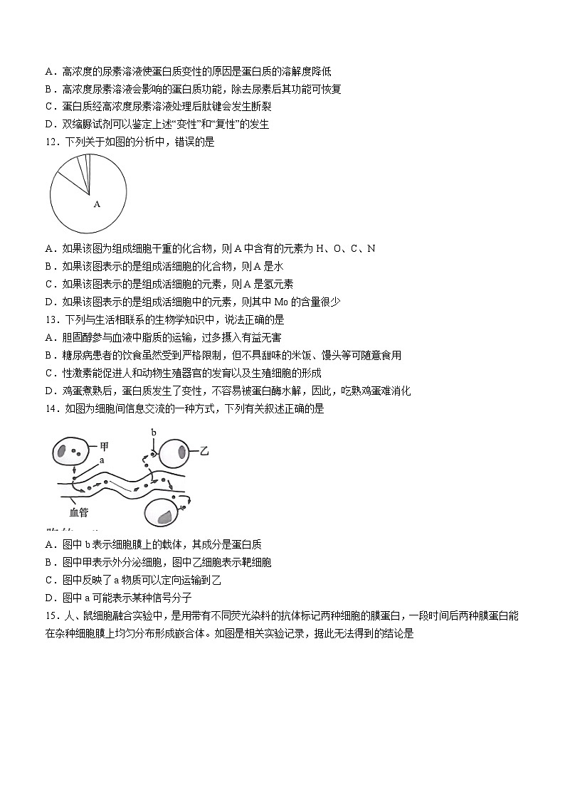 黑龙江省绥化市绥棱县一中2022-2023学年高一下学期开学考试生物试题03