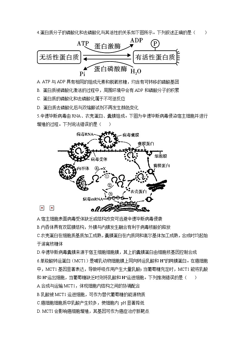 山东省青岛市第十七中学2022-2023学年高二下学期期末考试生物试题02