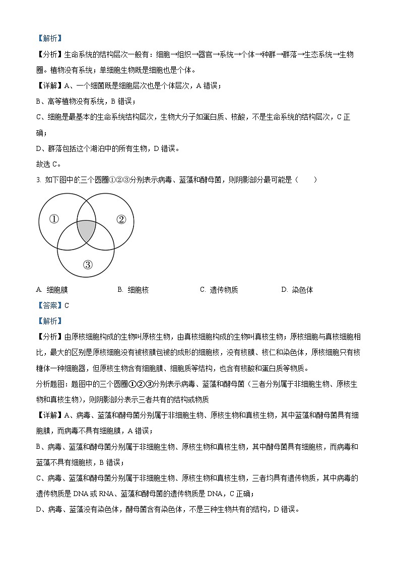 新疆维吾尔自治区喀什地区莎车县第九中学2022-2023学年高一上学期11月期中生物试题（解析版）02