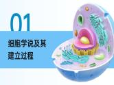 【核心素养】人教版高中生物必修一1.1 细胞是生命活动的基本单位 课件