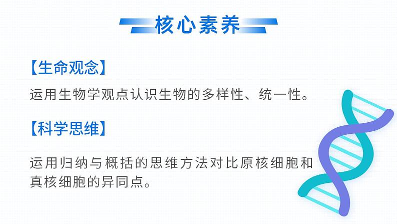 【核心素养】人教版高中生物必修一1.2 细胞的多样性和统一性 课件02