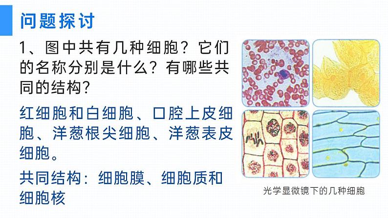 【核心素养】人教版高中生物必修一1.2 细胞的多样性和统一性 课件04