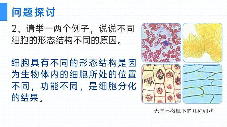 【核心素养】人教版高中生物必修一1.2 细胞的多样性和统一性 课件05