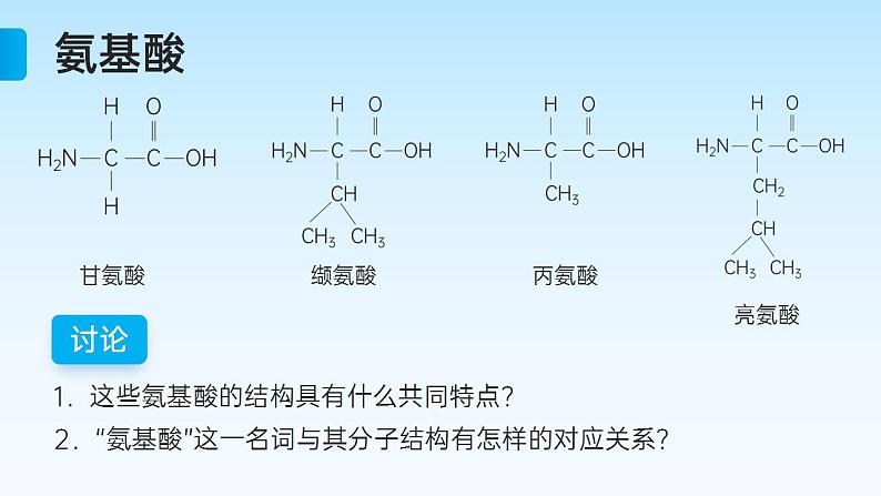 【核心素养】人教版高中生物必修一2.4 蛋白质是生命活动的主要承担者 课件08