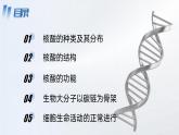 【核心素养】人教版高中生物必修一2.5 核酸是遗传信息的携带者 课件
