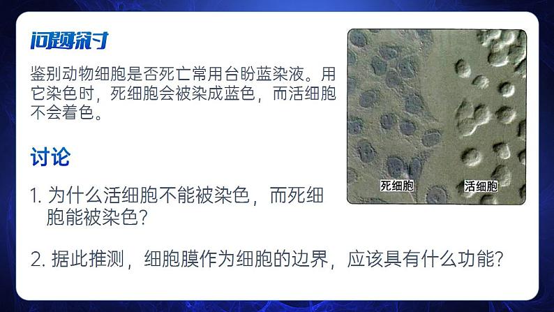 【核心素养】人教版高中生物必修一3.1 细胞膜的结构和功能 课件03