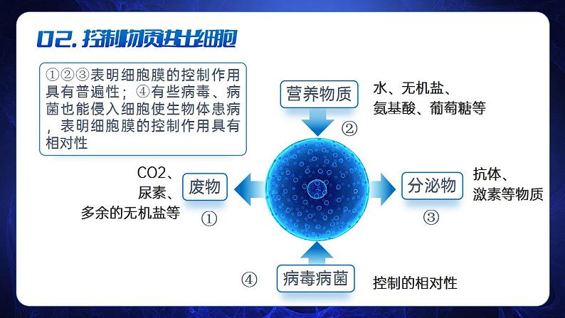 【核心素养】人教版高中生物必修一3.1 细胞膜的结构和功能 课件07