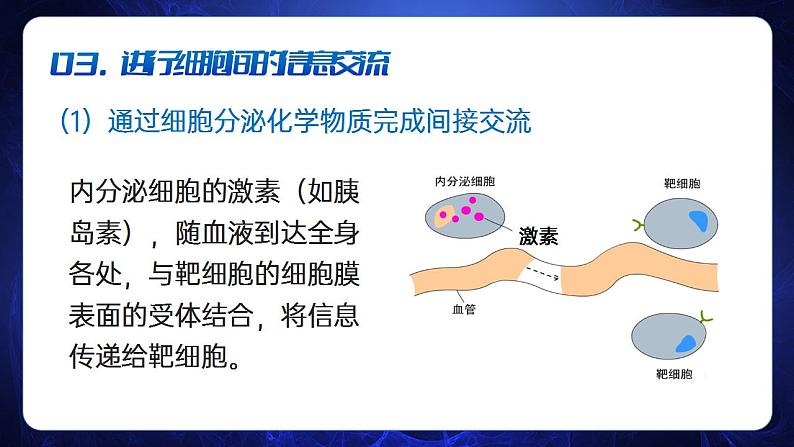 【核心素养】人教版高中生物必修一3.1 细胞膜的结构和功能 课件08