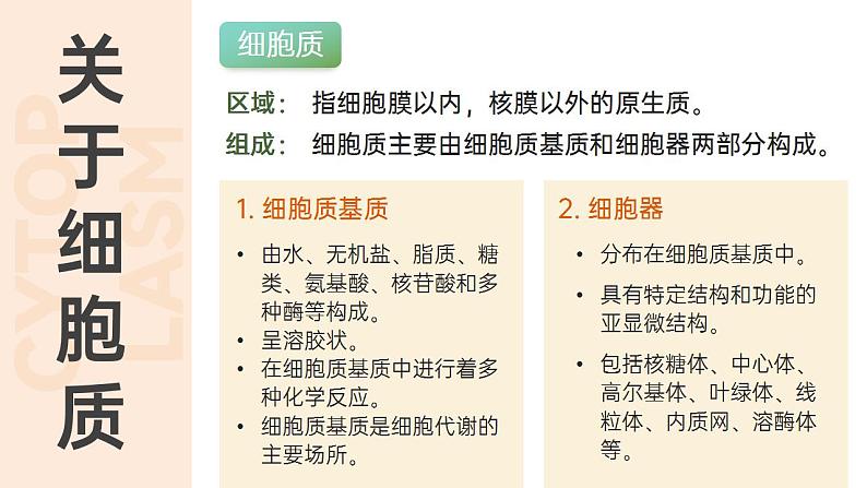 【核心素养】人教版高中生物必修一3.2 细胞器之间的分工合作 课件06