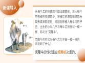 【核心素养】人教版高中生物必修一3.3 细胞核的结构和功能 课件