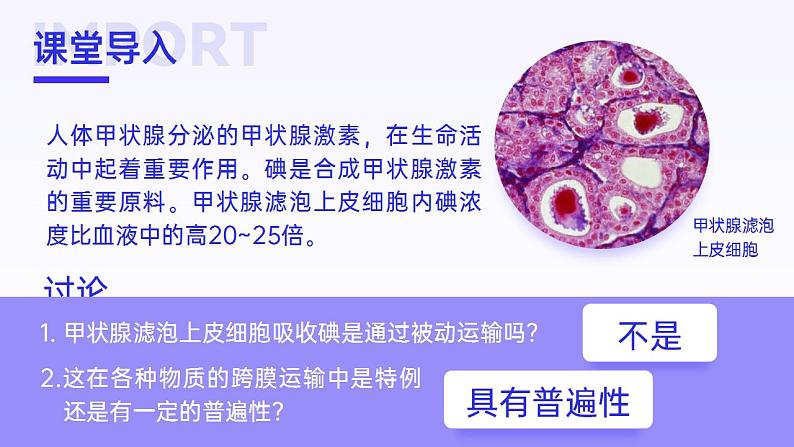 【核心素养】人教版高中生物必修一4.2 主动运输和胞吞、胞吐 课件04