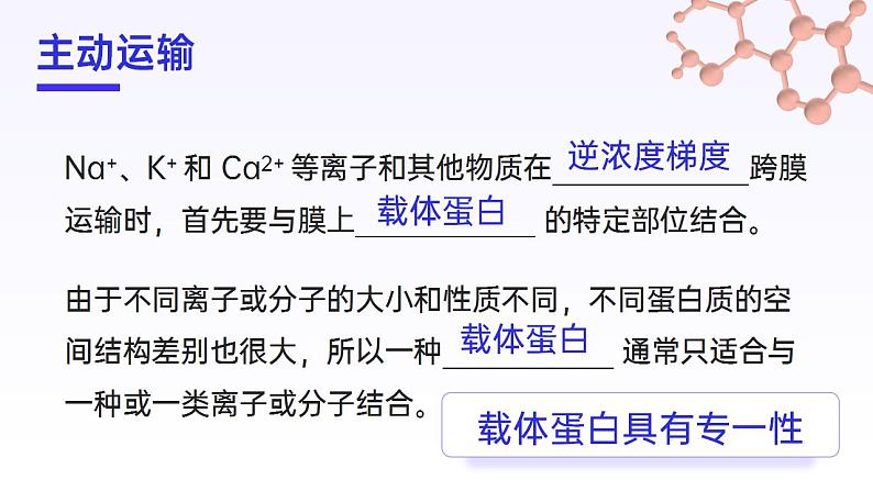 【核心素养】人教版高中生物必修一4.2 主动运输和胞吞、胞吐 课件07