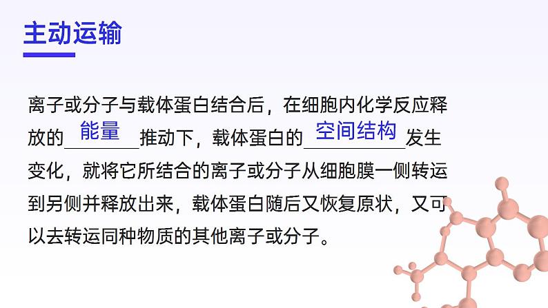 【核心素养】人教版高中生物必修一4.2 主动运输和胞吞、胞吐 课件08