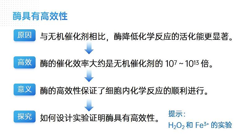 【核心素养】人教版高中生物必修一5.1 降低生物反应活化能的酶（二） 课件06