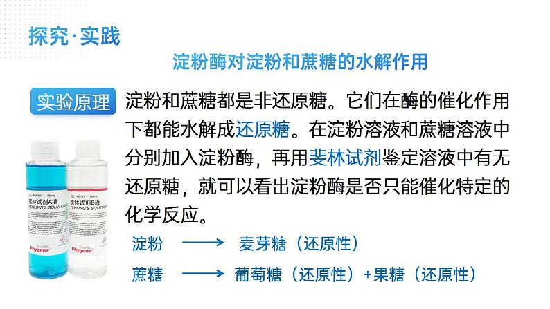 【核心素养】人教版高中生物必修一5.1 降低生物反应活化能的酶（二） 课件08