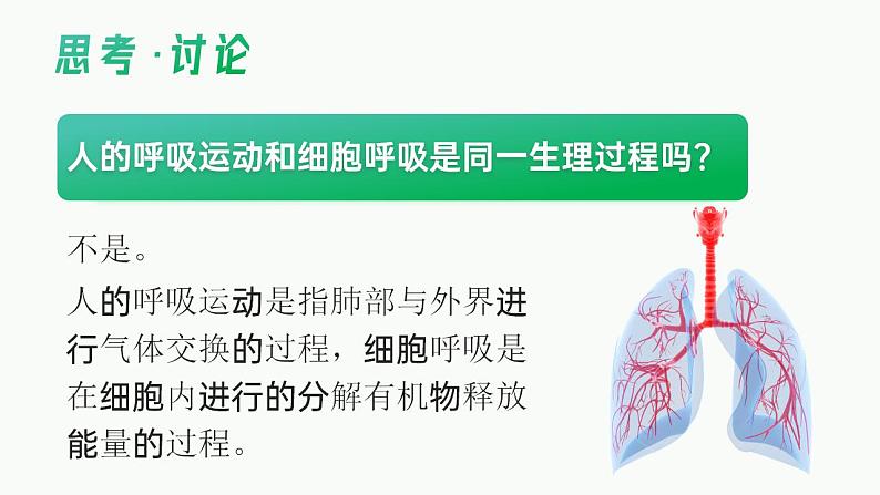 【核心素养】人教版高中生物必修一5.3.1 细胞呼吸的原理和应用（第一课时） 课件08