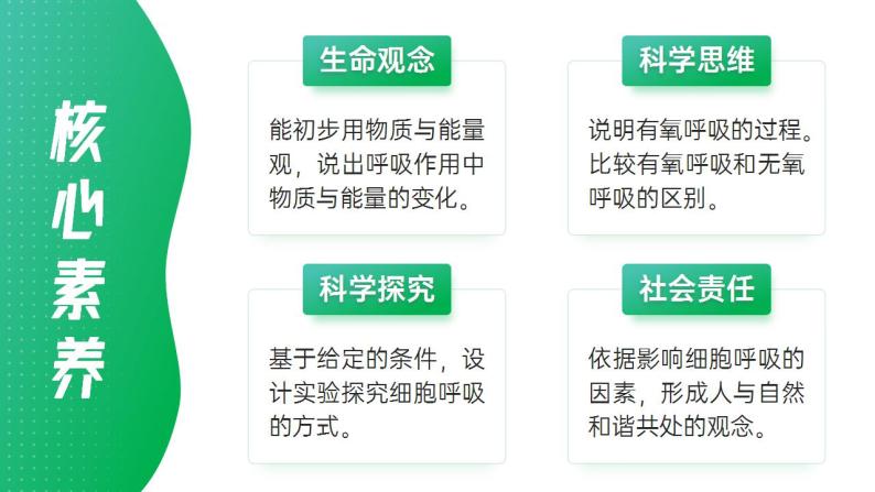 【核心素养】人教版高中生物必修一5.3.1 细胞呼吸的原理和应用（第二课时） 课件02