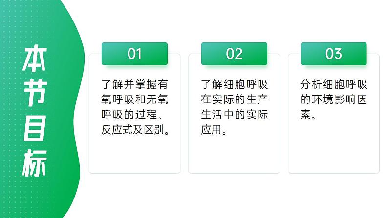 【核心素养】人教版高中生物必修一5.3.1 细胞呼吸的原理和应用（第二课时） 课件03