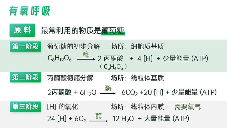 【核心素养】人教版高中生物必修一5.3.1 细胞呼吸的原理和应用（第二课时） 课件08