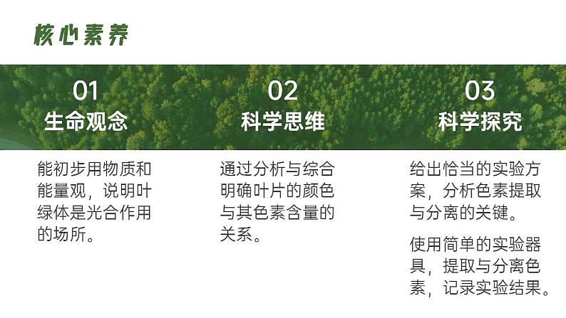 【核心素养】人教版高中生物必修一5.4.1 捕获光能的色素和结构 课件02