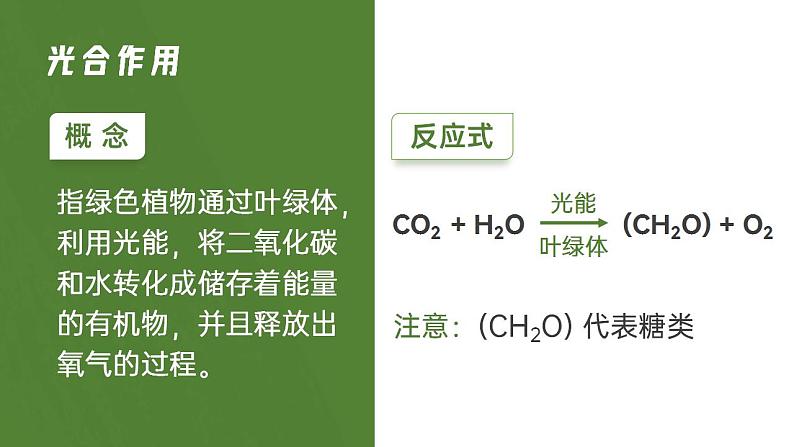 【核心素养】人教版高中生物必修一5.4.2 光合作用的原理和应用 课件06