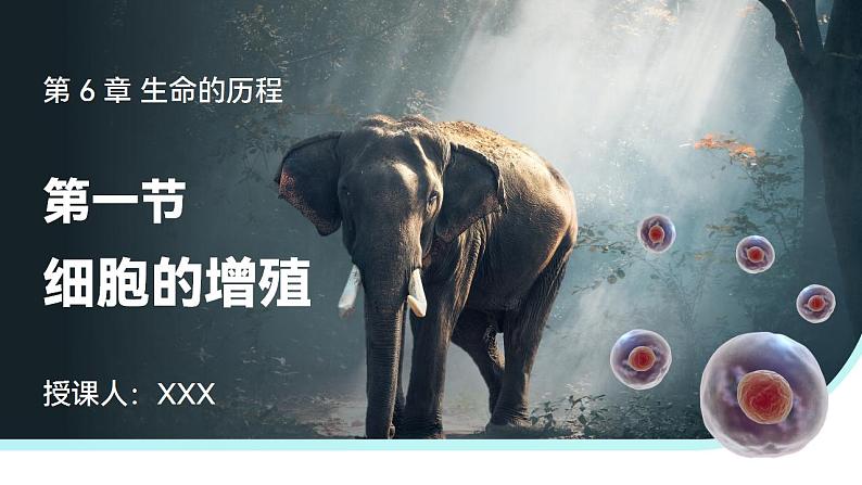 【核心素养】人教版高中生物必修一6.1.1 细胞的增殖 课件01