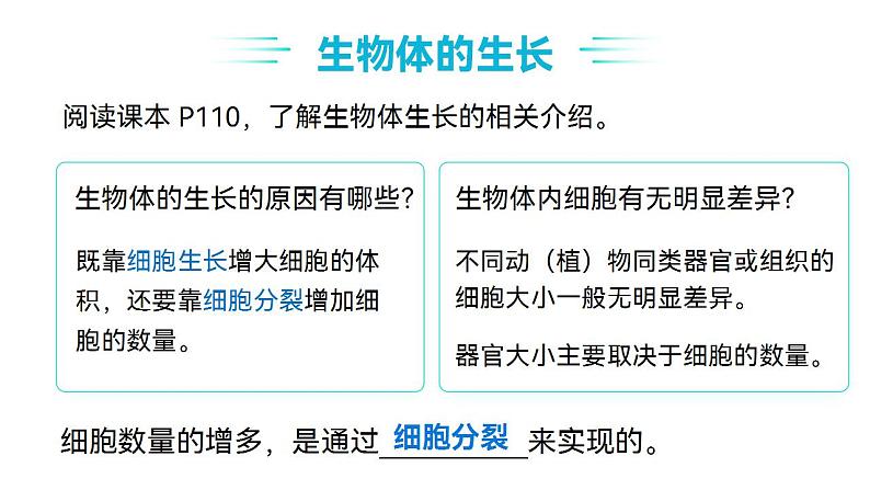 【核心素养】人教版高中生物必修一6.1.1 细胞的增殖 课件06