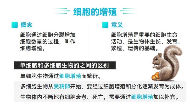 【核心素养】人教版高中生物必修一6.1.1 细胞的增殖 课件08