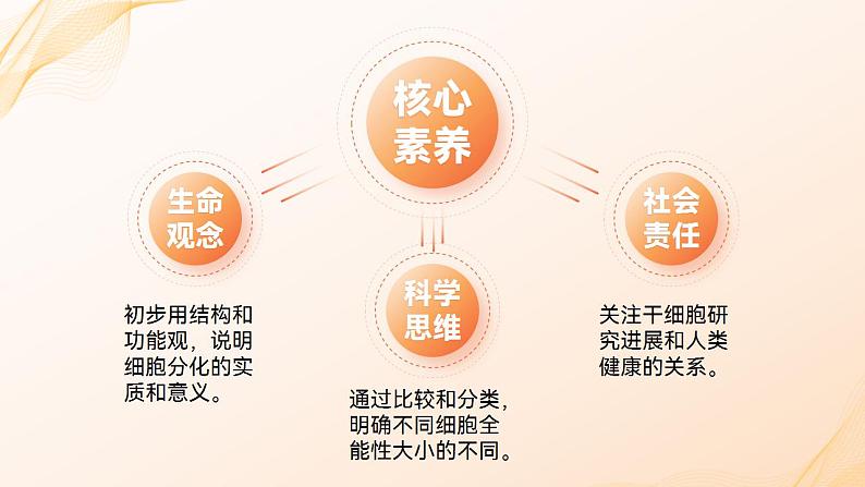 人教版高中化学必修一6.2 细胞的分化 课件第2页