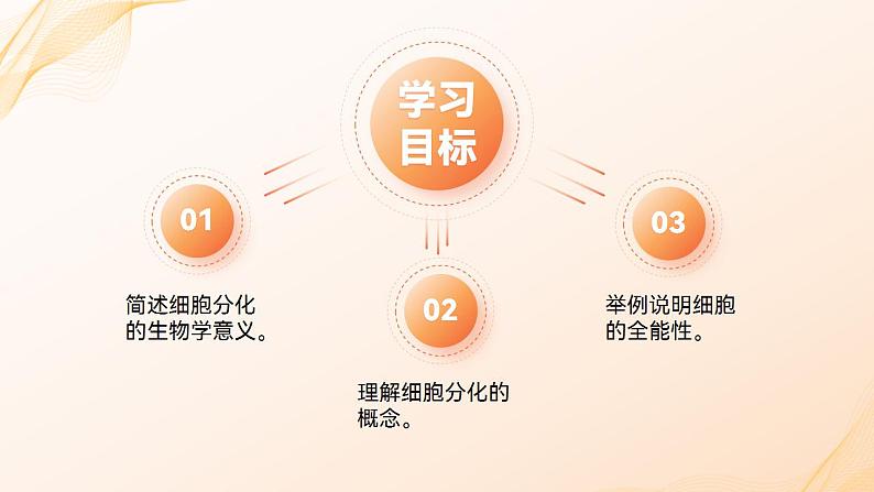 人教版高中化学必修一6.2 细胞的分化 课件第3页