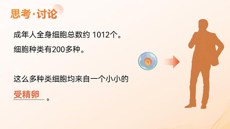 人教版高中化学必修一6.2 细胞的分化 课件第6页