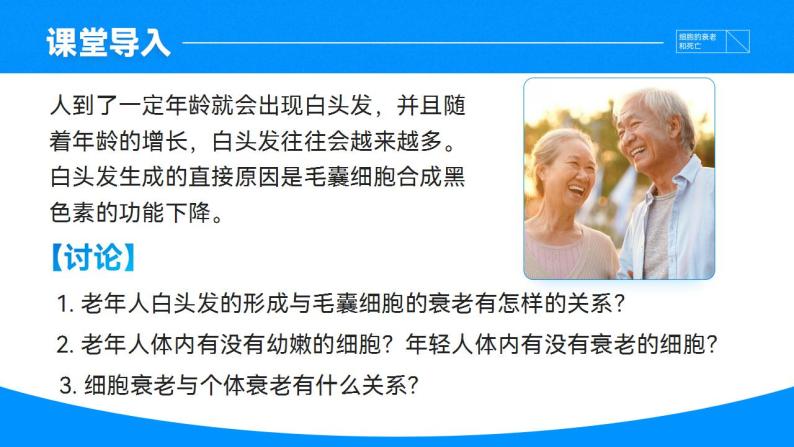 【核心素养】人教版高中生物必修一6.3 细胞的衰老和死亡 课件04