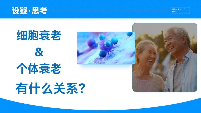 【核心素养】人教版高中生物必修一6.3 细胞的衰老和死亡 课件07