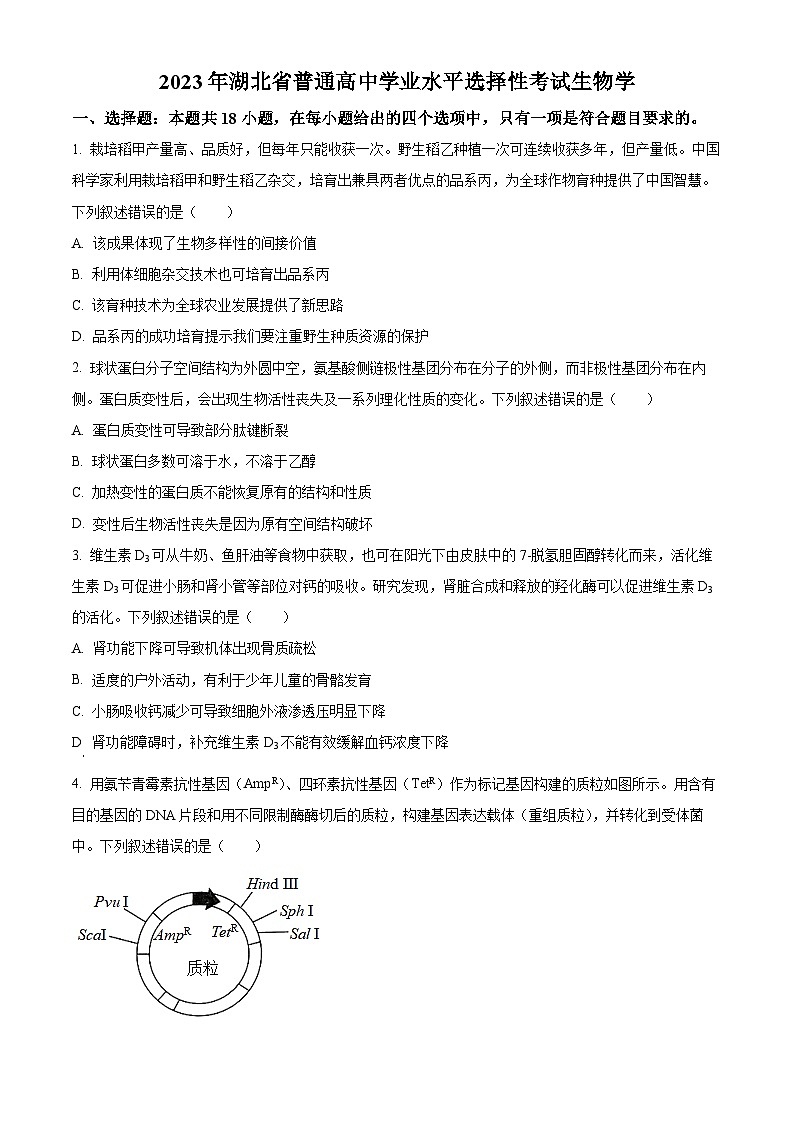 2023年新高考湖北卷生物高考真题解析（参考版）01