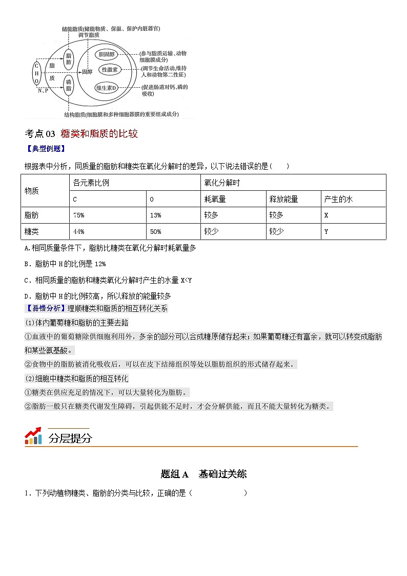 【同步讲义】高中生物（人教版2019）必修第一册--2.3《细胞中的糖类和脂质》讲义03